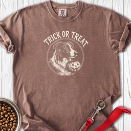 Border Collie Halloween Trick Or Treat Premium Tee Gift For Dog Lover