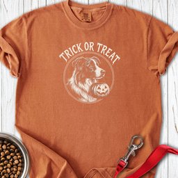 Border Collie Halloween Trick Or Treat Premium Tee Gift For Dog Lover