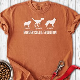 Border Collie Evolution Premium Tee Gift For Dog Lover