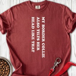 Border Collie Tilt Her Head Premium Tee Gift For Dog Lover