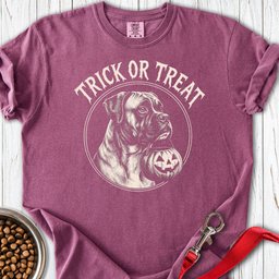 Boxer Trick Or Treat Halloween Premium Tee Gift For Dog Lover