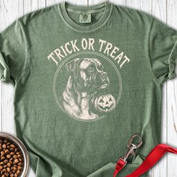 Boxer Trick Or Treat Halloween Premium Tee Gift For Dog Lover