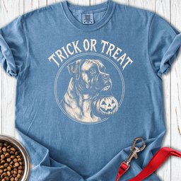 Boxer Trick Or Treat Halloween Premium Tee Gift For Dog Lover