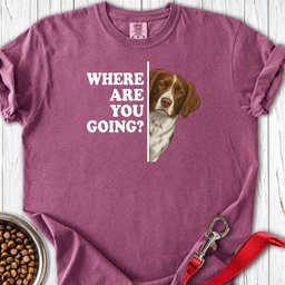 Brittany Where Are You Going Premium Tee Gift For Dog Lover