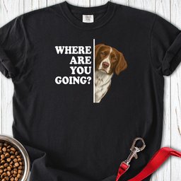 Brittany Where Are You Going Premium Tee Gift For Dog Lover