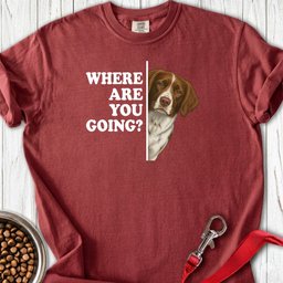 Brittany Where Are You Going Premium Tee Gift For Dog Lover