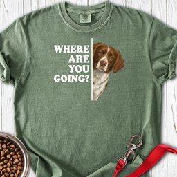 Brittany Where Are You Going Premium Tee Gift For Dog Lover