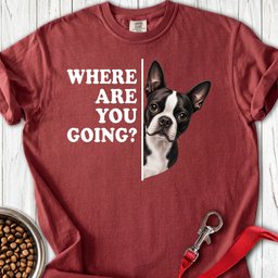 Boston Terrier Where Are You Going Premium Tee Gift For Dog Lover