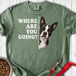 Boston Terrier Where Are You Going Premium Tee Gift For Dog Lover