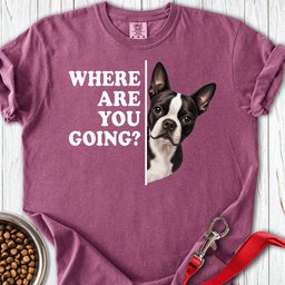 Boston Terrier Where Are You Going Premium Tee Gift For Dog Lover