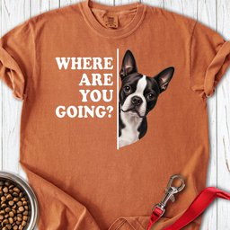 Boston Terrier Where Are You Going Premium Tee Gift For Dog Lover