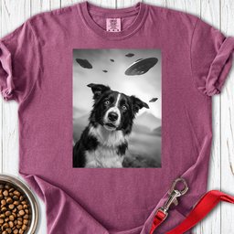 Border Collie Ufo Premium Tee Gift For Dog Lover