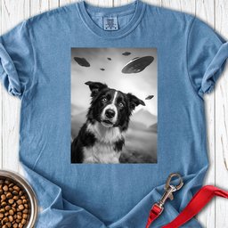 Border Collie Ufo Premium Tee Gift For Dog Lover