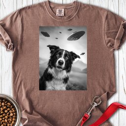 Border Collie Ufo Premium Tee Gift For Dog Lover