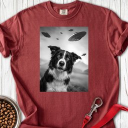 Border Collie Ufo Premium Tee Gift For Dog Lover