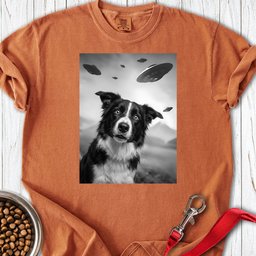 Border Collie Ufo Premium Tee Gift For Dog Lover