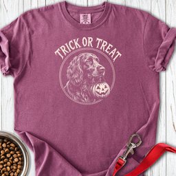 Boykin Spaniel Trick Or Treat Premium Tee Gift For Dog Lover