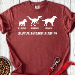 Chesapeake Bay Retriever Evolution Premium Tee Gift For Dog Lover