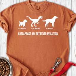 Chesapeake Bay Retriever Evolution Premium Tee Gift For Dog Lover