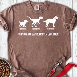 Chesapeake Bay Retriever Evolution Premium Tee Gift For Dog Lover
