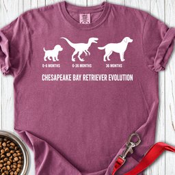 Chesapeake Bay Retriever Evolution Premium Tee Gift For Dog Lover