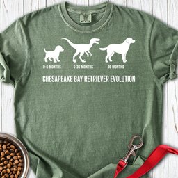 Chesapeake Bay Retriever Evolution Premium Tee Gift For Dog Lover