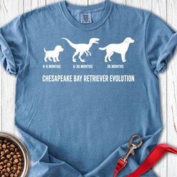 Chesapeake Bay Retriever Evolution Premium Tee Gift For Dog Lover