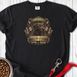 Chesapeake Bay Retriever USA Premium Tee Gift For Dog Lover