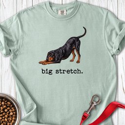 Coonhound Big Stretch Premium Tee Gift For Dog Lover