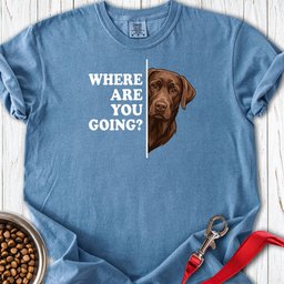 Chocolate Lab Where Are You Going Premium Tee Gift For Dog Lover