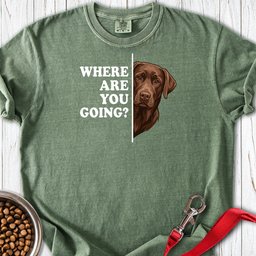Chocolate Lab Where Are You Going Premium Tee Gift For Dog Lover