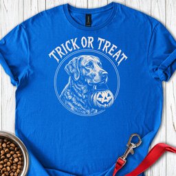 Chesapeake Bay Retriever Trick Or Treat T Shirt Gift For Dog Lover