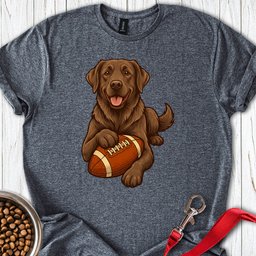 Chocolate Labrador Football T Shirt Gift For Dog Lover