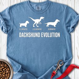 Dachshund Evolution Premium Tee Gift For Dog Lover