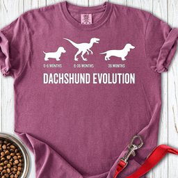 Dachshund Evolution Premium Tee Gift For Dog Lover