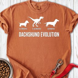 Dachshund Evolution Premium Tee Gift For Dog Lover