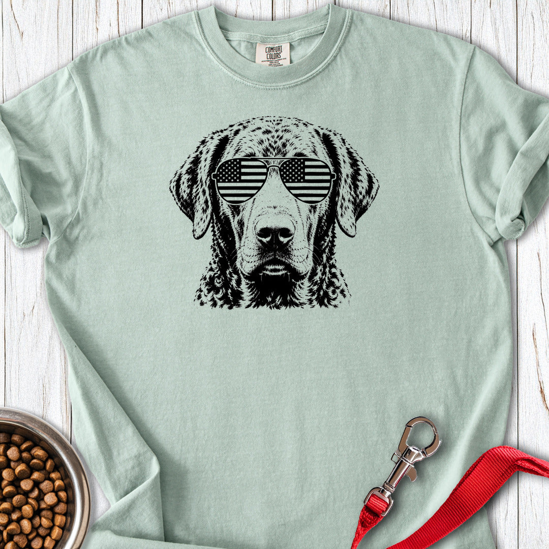 Chesapeake Bay Retriever Flag Shades Premium Tee Gift For Dog Lover