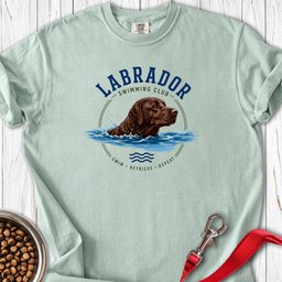 Chocolate Labrador Swimming Premium Tee Gift For Dog Lover