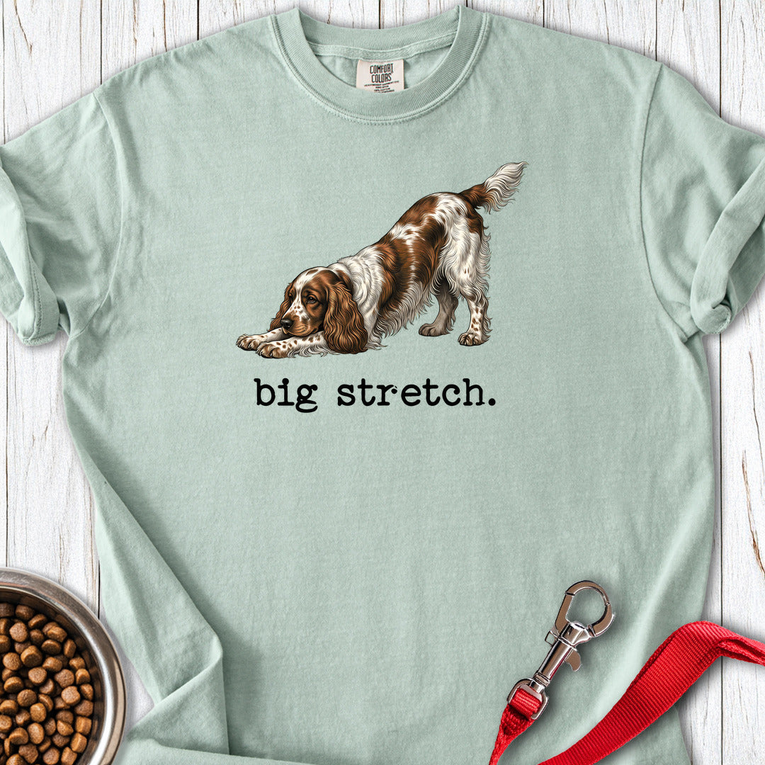 Cocker Spaniel Big Stretch Premium Tee Gift For Dog Lover