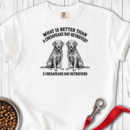Chesapeake Bay Retriever What Is Better Than One Premium Tee Gift For Dog Lover