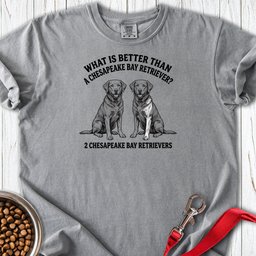 Chesapeake Bay Retriever What Is Better Than One Premium Tee Gift For Dog Lover