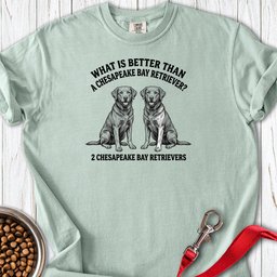 Chesapeake Bay Retriever What Is Better Than One Premium Tee Gift For Dog Lover