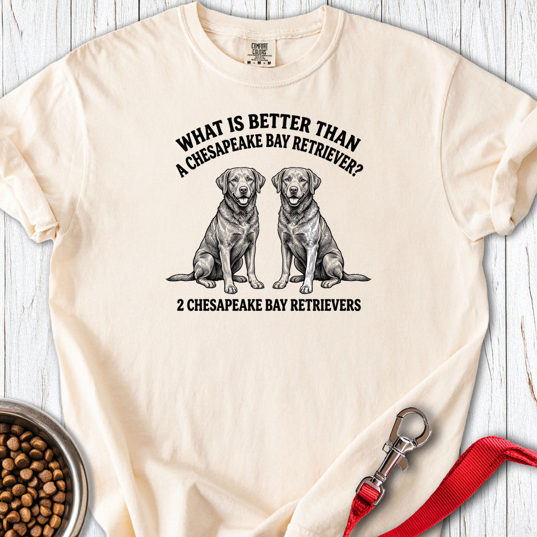 Chesapeake Bay Retriever What Is Better Than One Premium Tee Gift For Dog Lover