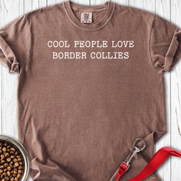 Cool People Love Border Collies Premium Tee Gift For Dog Lover