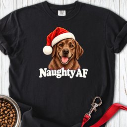 Chocolate Labrador Christmas Naughty Premium Tee Gift For Dog Lover