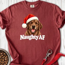 Chocolate Labrador Christmas Naughty Premium Tee Gift For Dog Lover