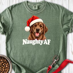 Chocolate Labrador Christmas Naughty Premium Tee Gift For Dog Lover