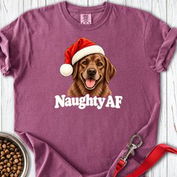 Chocolate Labrador Christmas Naughty Premium Tee Gift For Dog Lover