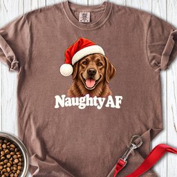 Chocolate Labrador Christmas Naughty Premium Tee Gift For Dog Lover