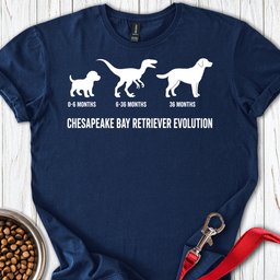 Chesapeake Bay Retriever Evolution T Shirt Gift For Dog Lover